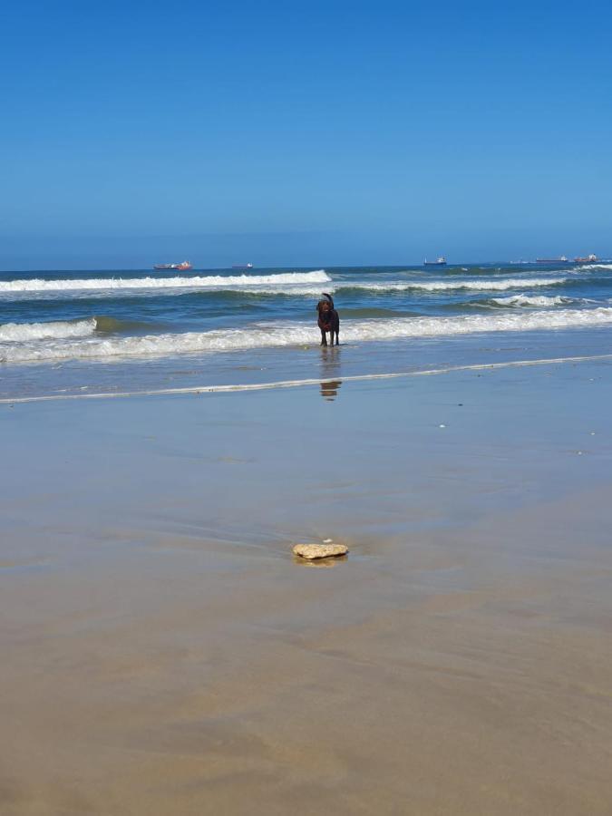 House Haven Guesthouse Port Elizabeth Exterior foto